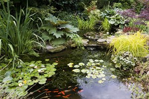A view of the two-tiered pond.